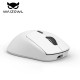 Waizowl OGM Pro Gaming Mouse